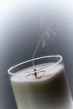 The Downtown Floral Soy Candle – Hand-Poured Jar